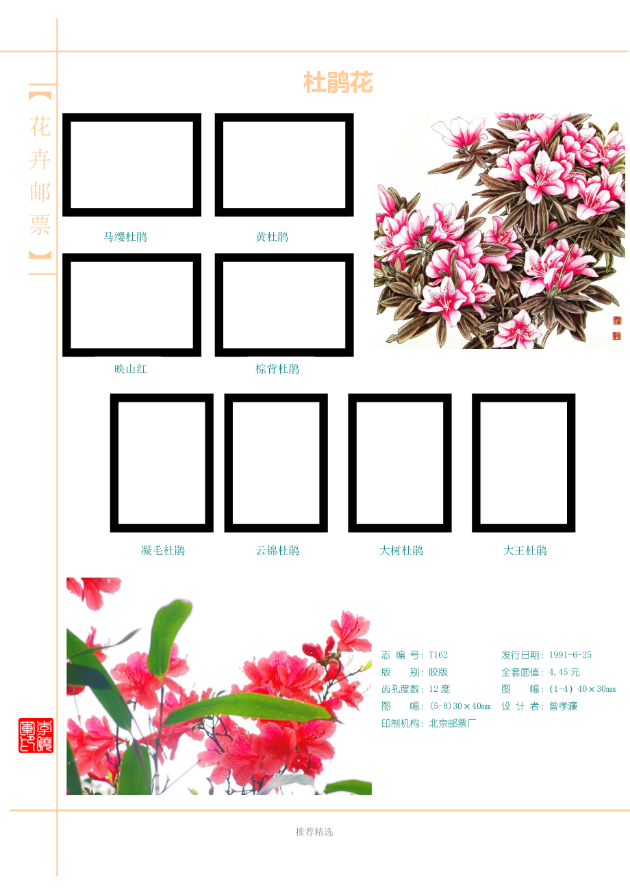 自制中国邮票定位册模板-花卉_第4页