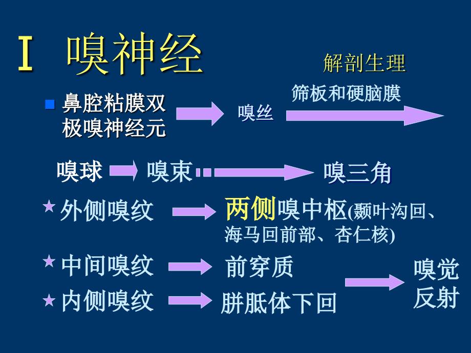 医学百事通移动医疗资料库——脑神经(转载)_第4页