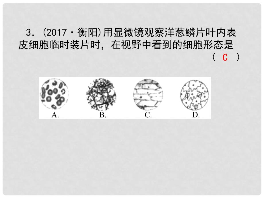 浙江省中考科学复习 第一篇 生命科学 第2课时 细胞课后练习课件_第3页