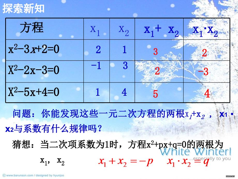 2224一元二次方程的根与系数的关系_第3页