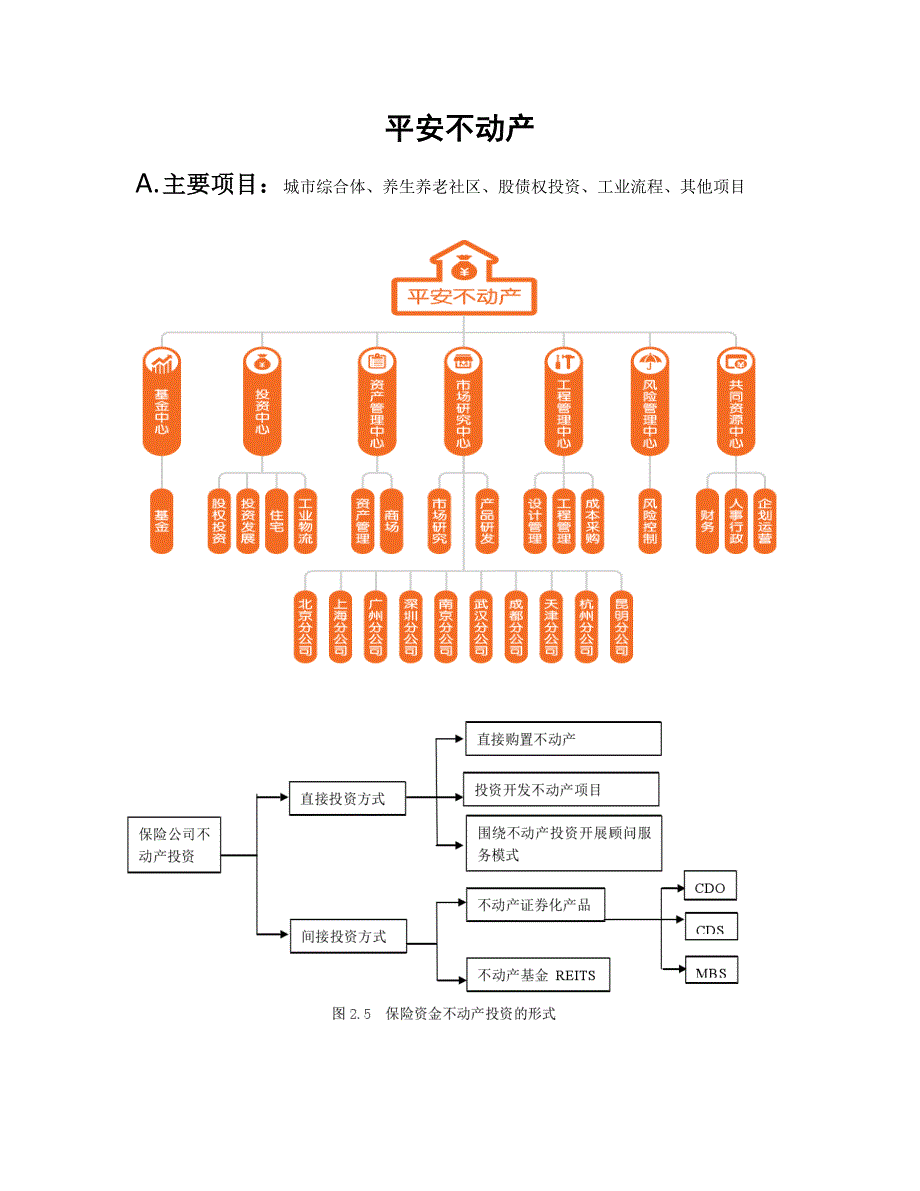 平安不动产_第1页