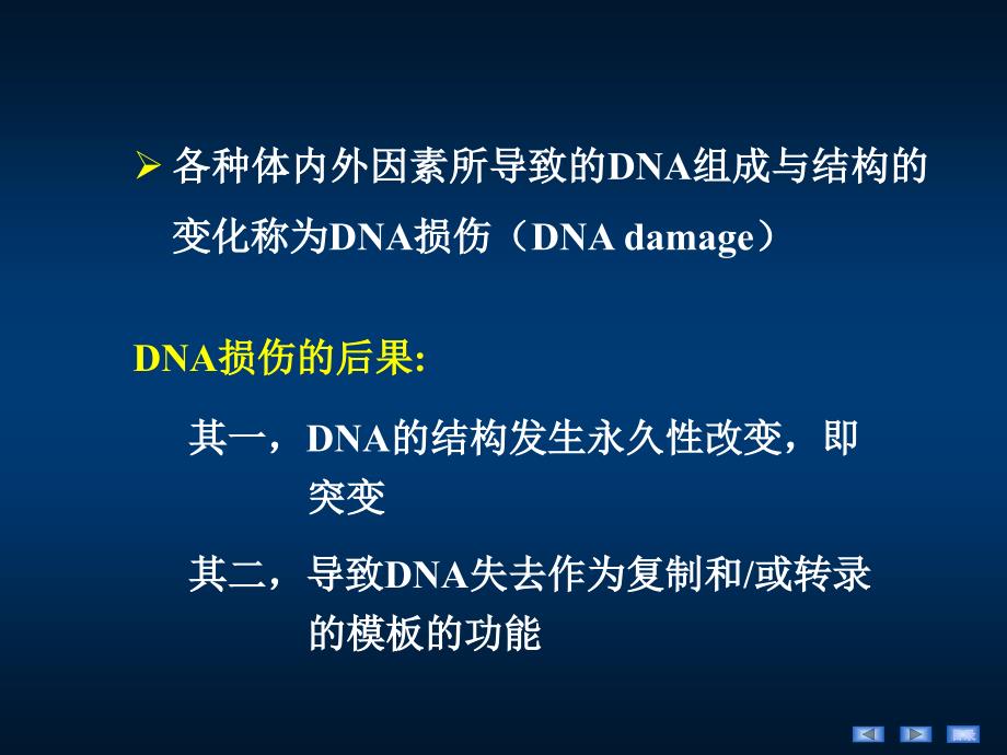 生物化学和分子生物学：15 DNA损伤与修复_第4页