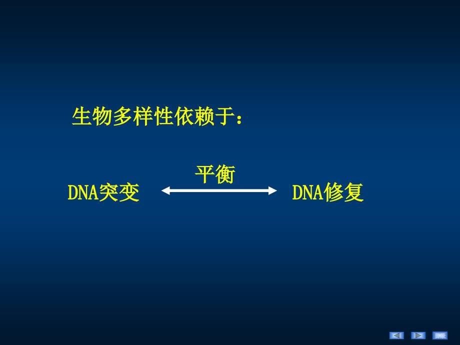 生物化学和分子生物学：15 DNA损伤与修复_第5页