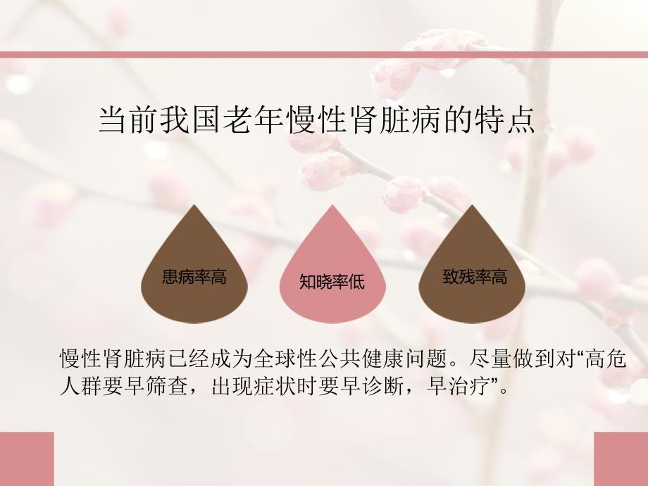 老年慢性肾脏病科普3月_第3页