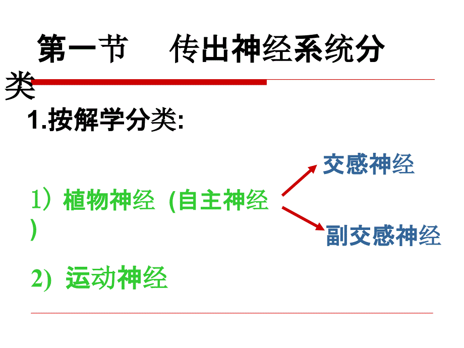 神经递质肾上腺素PPT课件_第2页