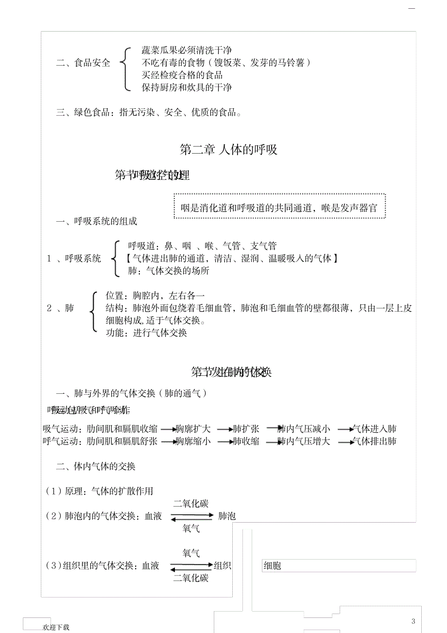 七年级下册生物学期中考试复习提纲【完整课堂笔记】_中学教育-中考_第3页