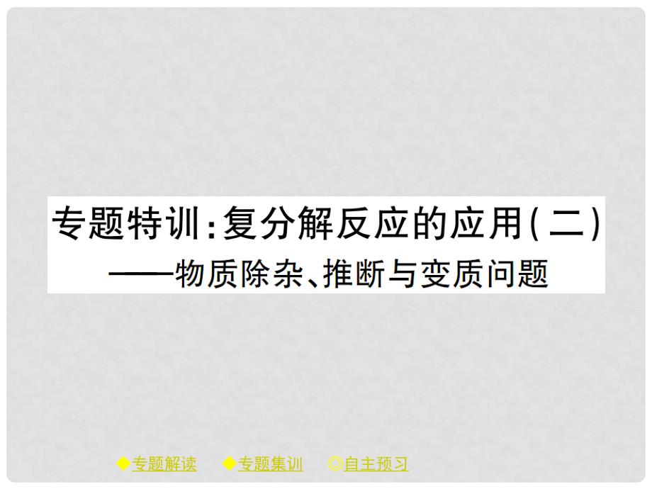 九年级化学下册 专题特训 复分解反应的应用（二）习题课件 （新版）新人教版_第1页