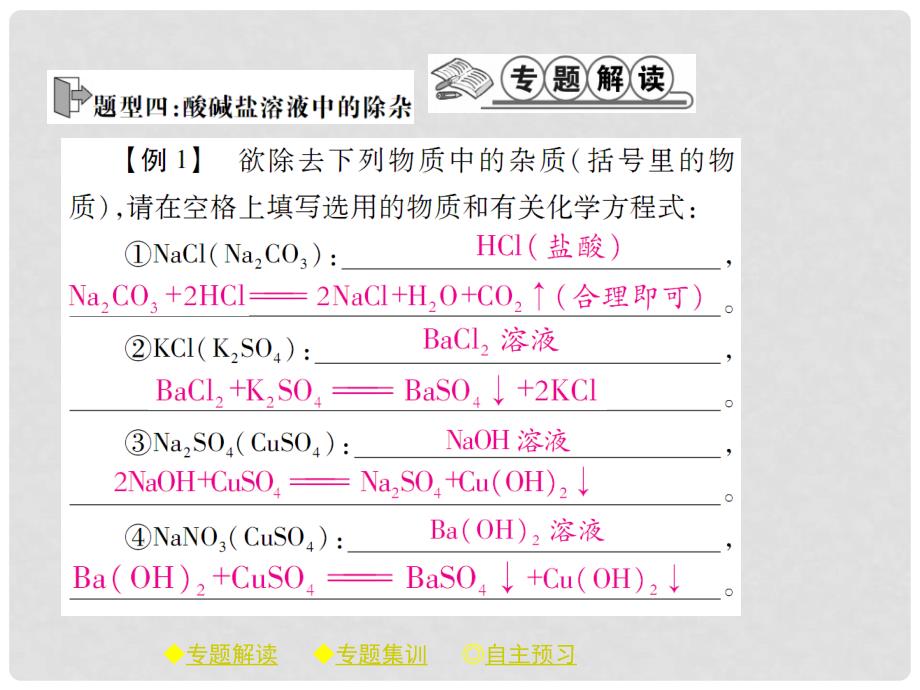 九年级化学下册 专题特训 复分解反应的应用（二）习题课件 （新版）新人教版_第2页