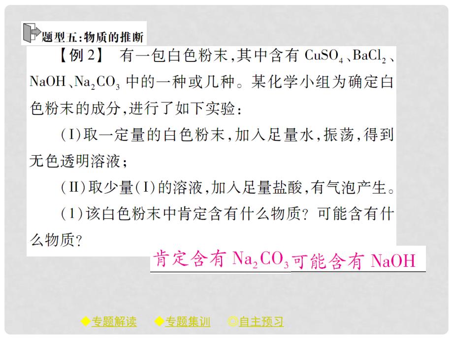 九年级化学下册 专题特训 复分解反应的应用（二）习题课件 （新版）新人教版_第4页