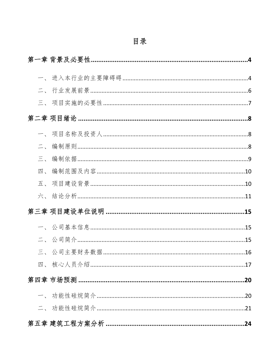 哈尔滨硅烷项目可行性研究报告_第1页