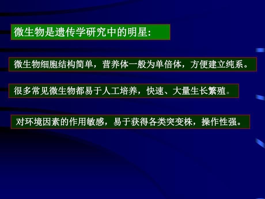 天津工业大学考研微生物课件19_第5页