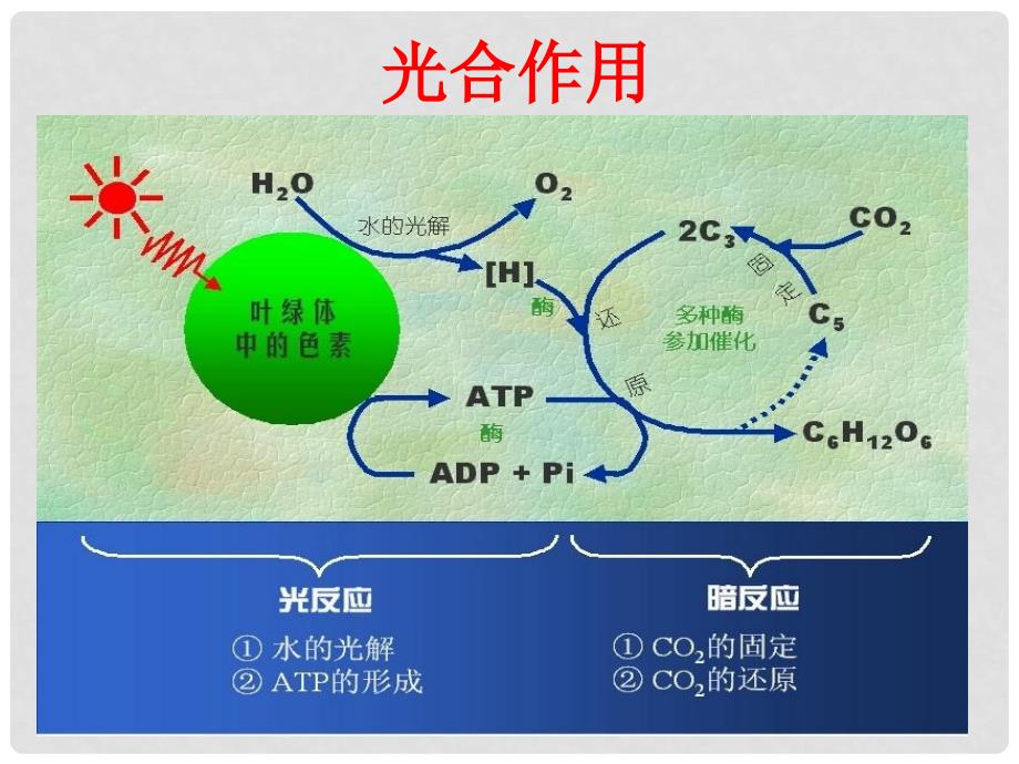 高中生物《第五章 第四节 能量之源 光与光合作用》课件3 新人教版必修1_第1页