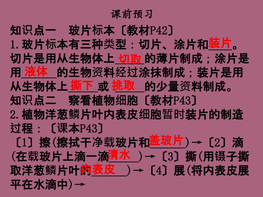 人教版七年级生物上册第二单元第一章细胞是生命活动的基本单位第二节植物细胞ppt课件_第3页