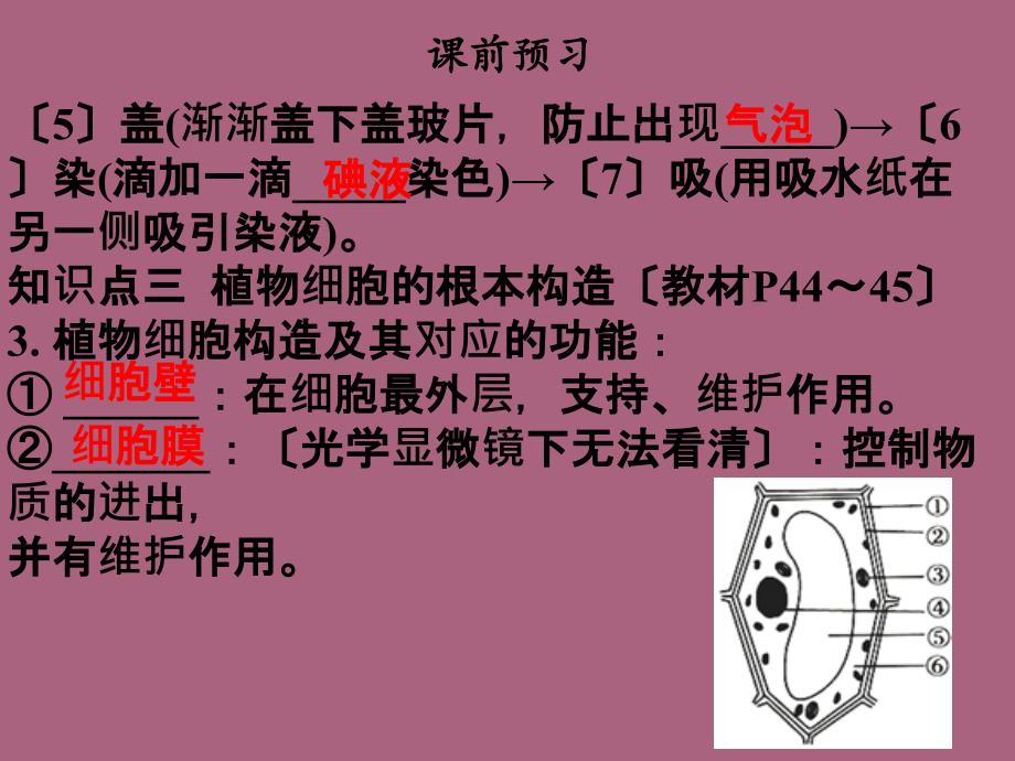 人教版七年级生物上册第二单元第一章细胞是生命活动的基本单位第二节植物细胞ppt课件_第4页