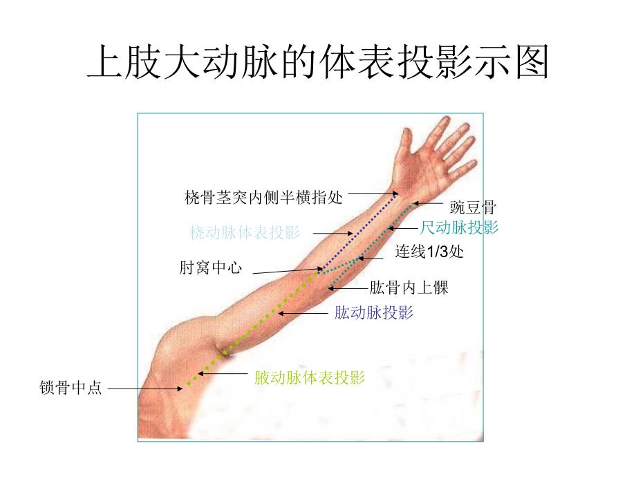 安全施行针刀治疗的方法易秉瑛_第4页