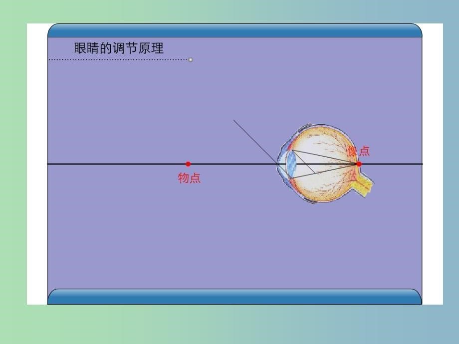 八年级物理上册 5.4 眼睛和眼镜课件2 （新版）新人教版.ppt_第5页