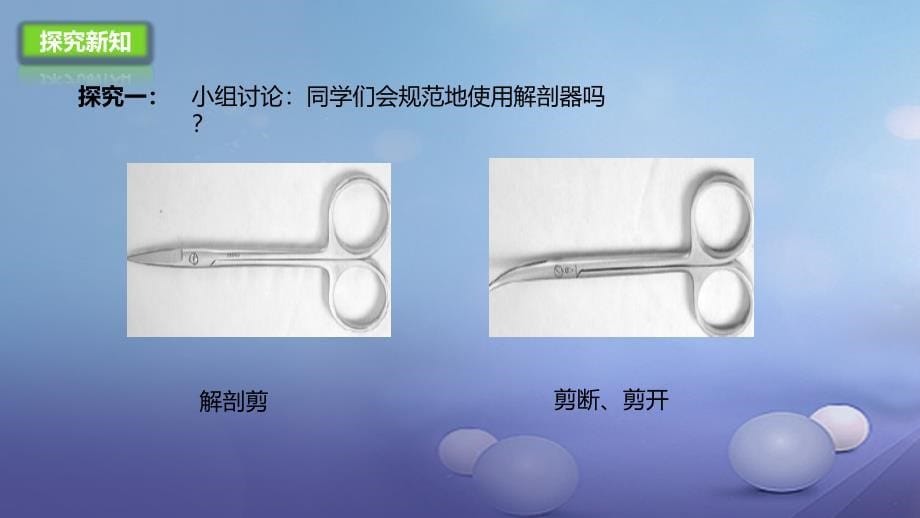 七年级生物上册2.2中学生物学实验的常用工具课件北京课改版_第5页