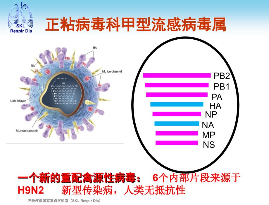 人感染h7n9禽流感诊疗方案教学文稿_第3页