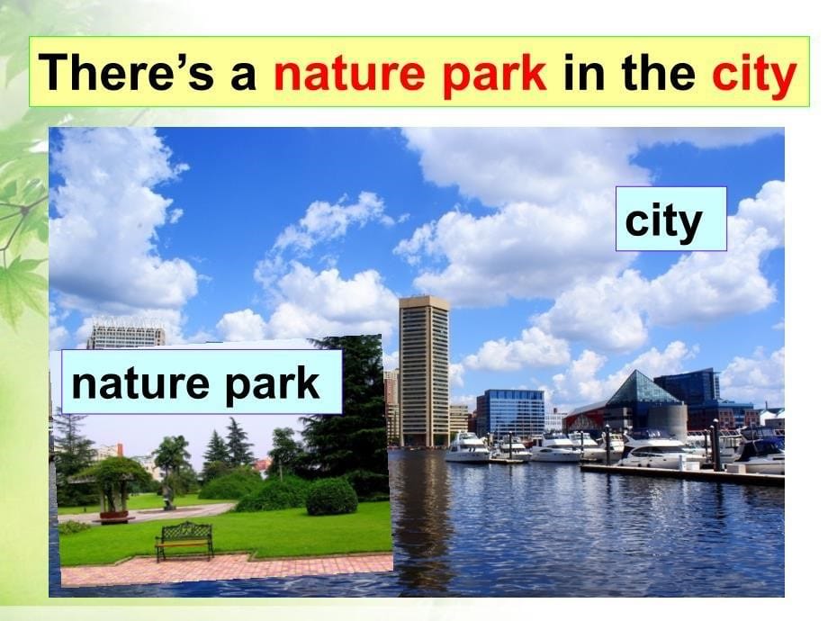 2_In_a_Nature_Park__PartA_Let&#39;s_talk__第二课时_第5页