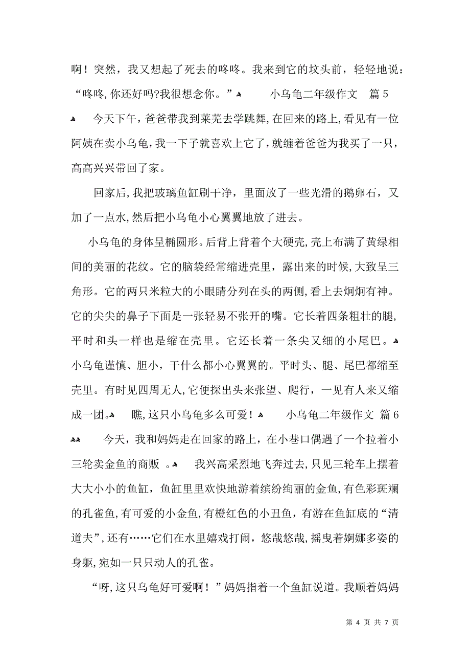 推荐小乌龟二年级作文合集八篇_第4页