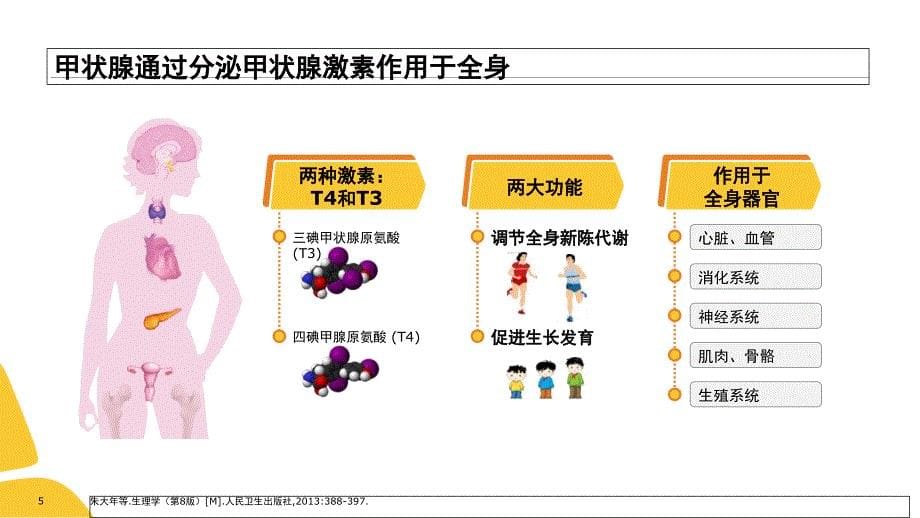 甲状腺毒症的诊治PPT课件_第5页