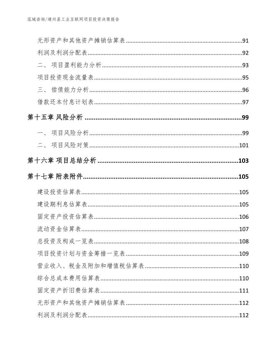 靖州县工业互联网项目投资决策报告（参考范文）_第5页