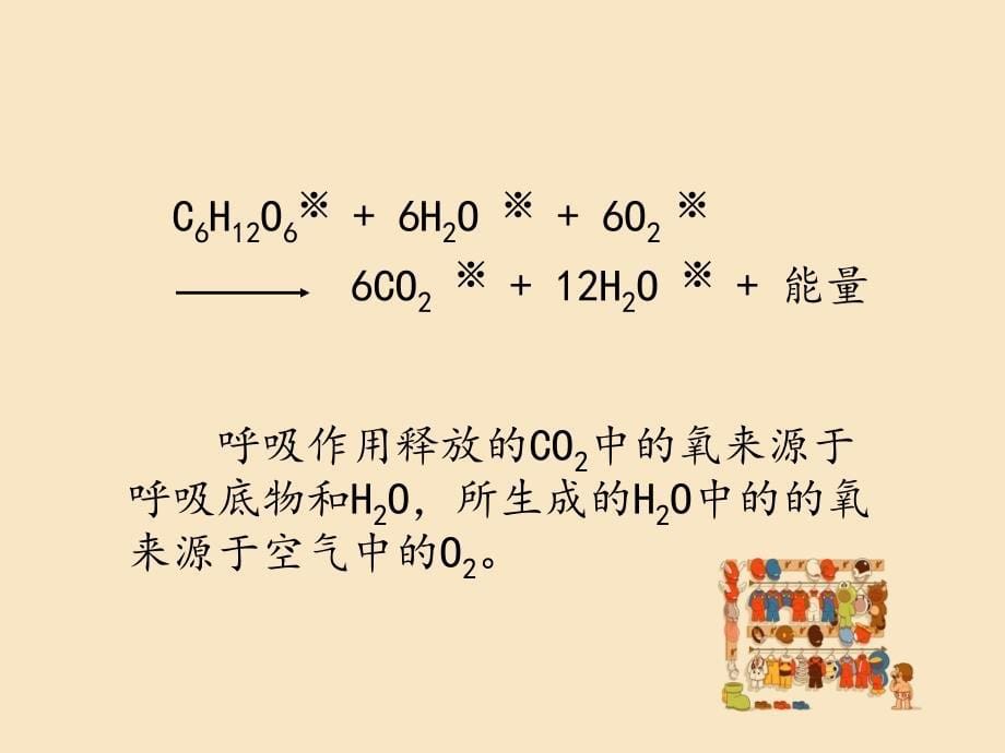 植物生理学第四章植物呼吸作用_第5页