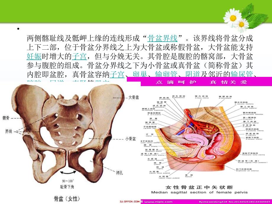 骨盆骨折患者护理.ppt_第4页