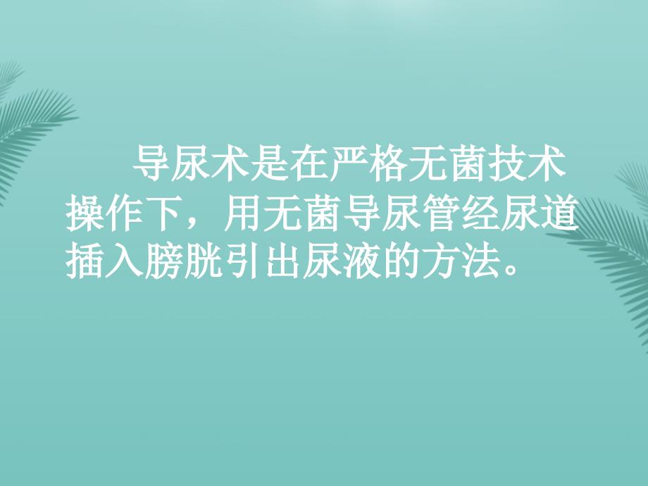 导尿术操作及注意事项课件_第2页