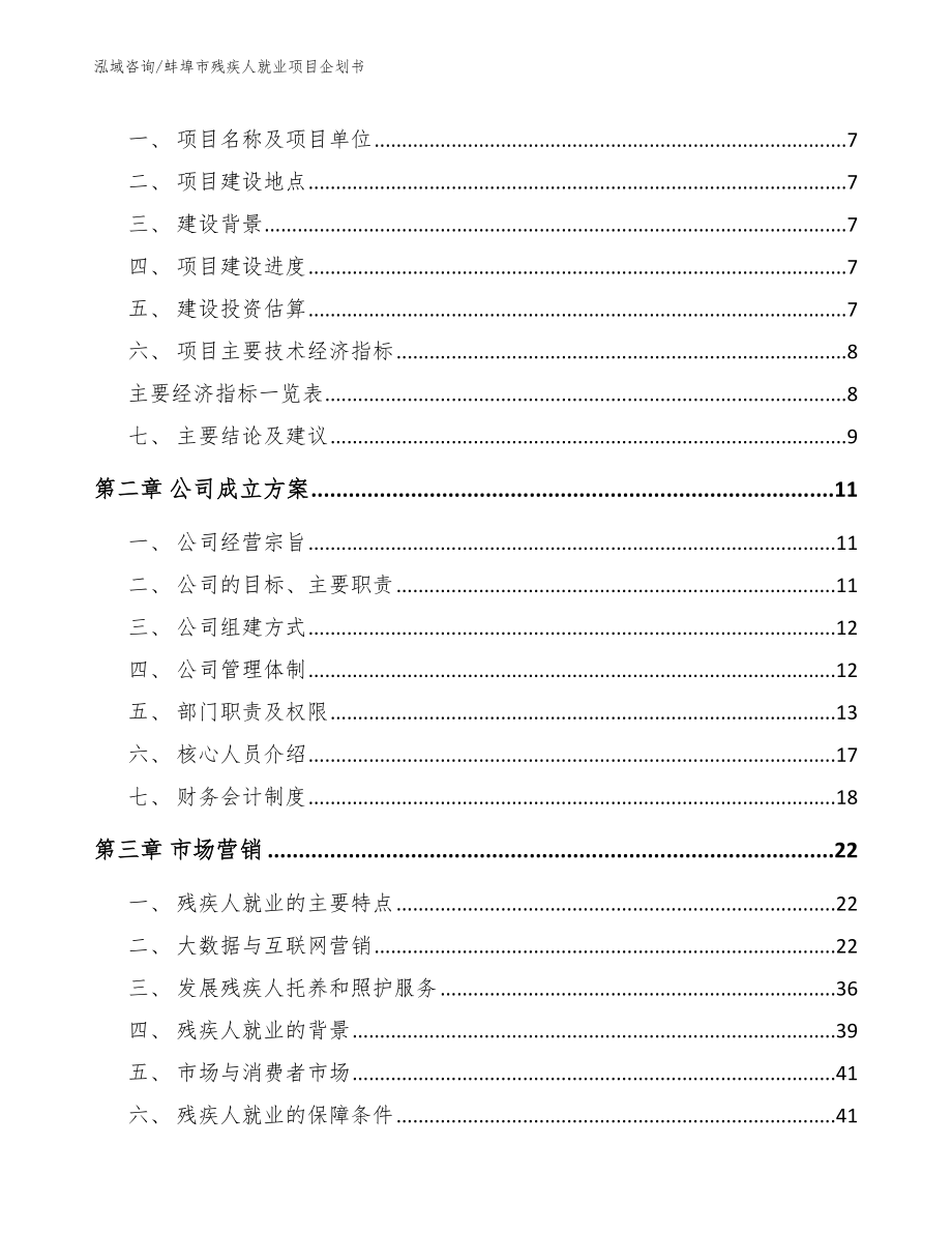 蚌埠市残疾人就业项目企划书（范文模板）_第3页