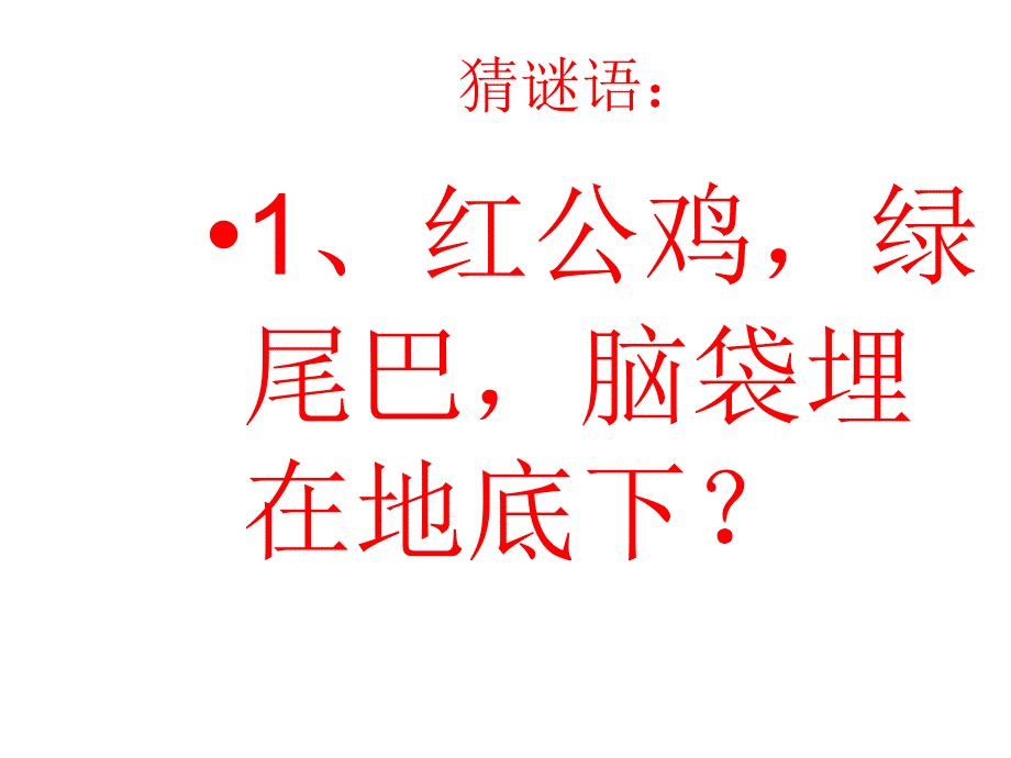 和蔬菜交朋友课件_第2页