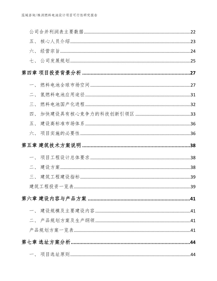 株洲燃料电池设计项目可行性研究报告【模板参考】_第2页