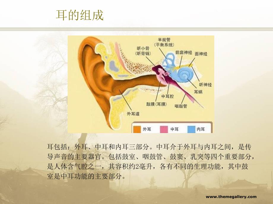 慢性化脓性中耳炎病人的护理_第3页