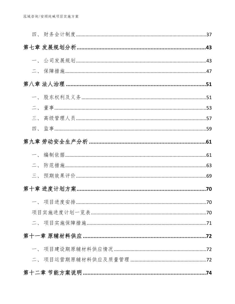 安顺纯碱项目实施方案_模板_第5页