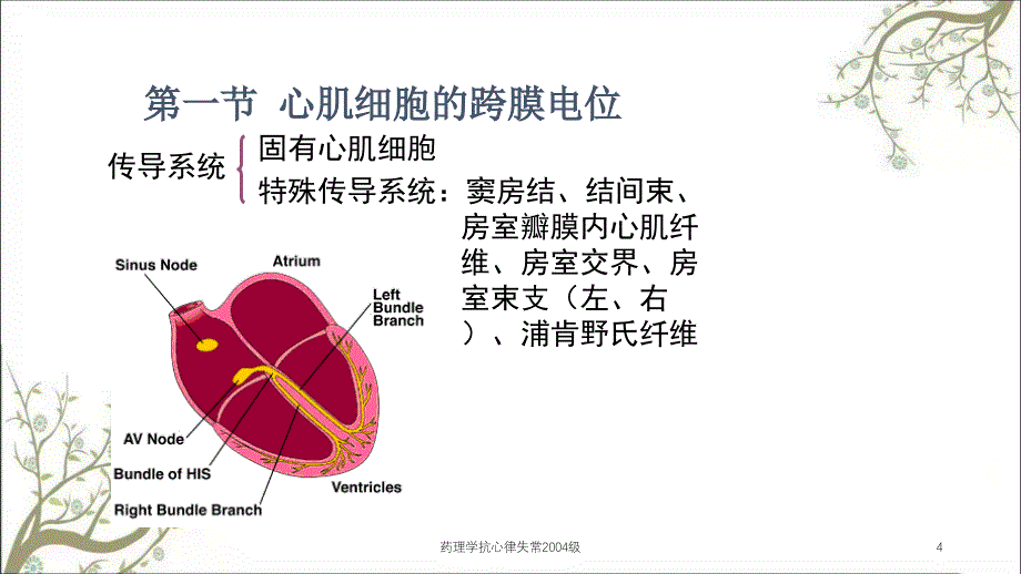 药理学抗心律失常2004级课件_第4页