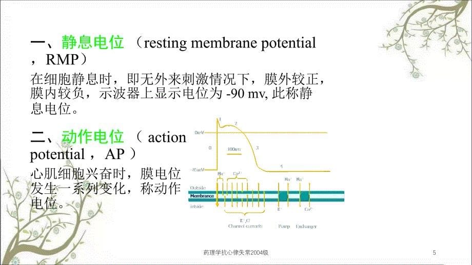 药理学抗心律失常2004级课件_第5页