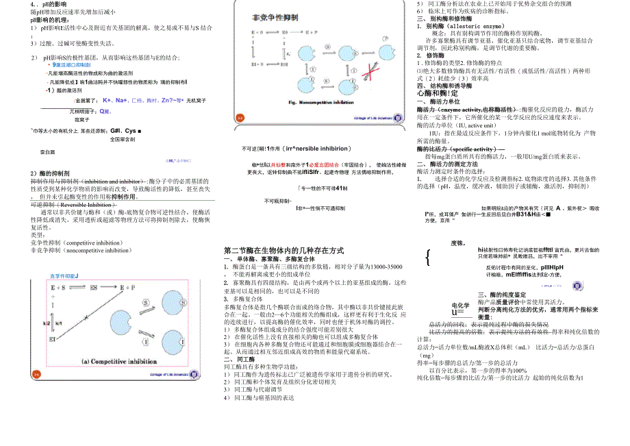 酶学与酶工程重点总结_第2页
