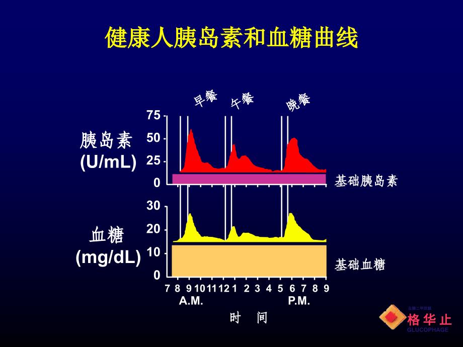 2型糖尿病口服药物治疗进展文档资料精选文档_第1页