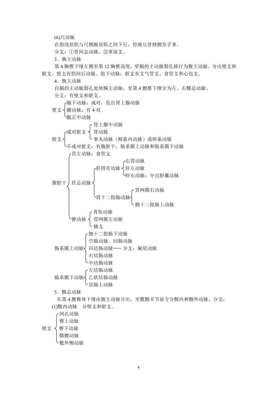 11章心血管系统_第4页