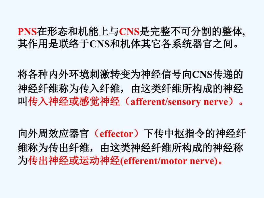 第5章 传出神经系统药理学概论_第3页