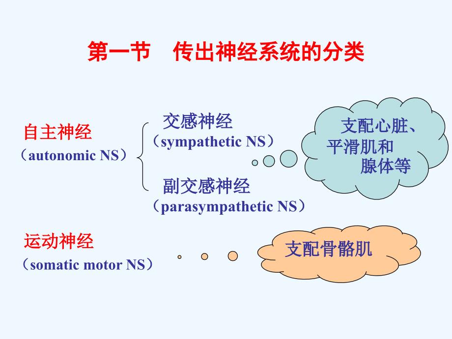 第5章 传出神经系统药理学概论_第4页