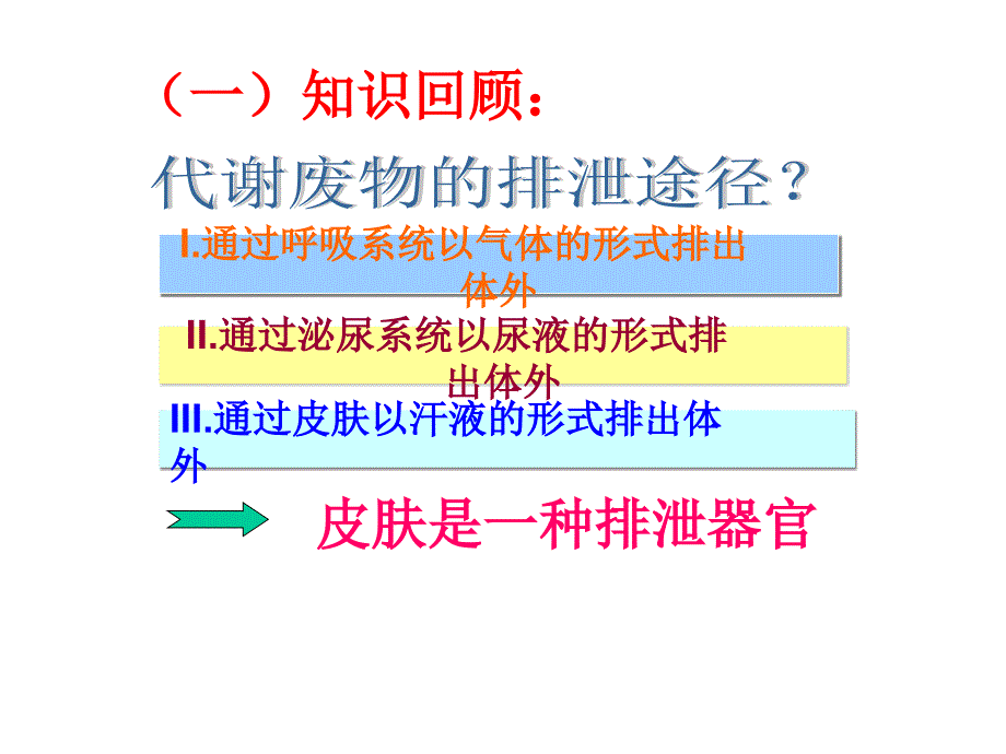 11.3皮肤与汗液分泌_第2页