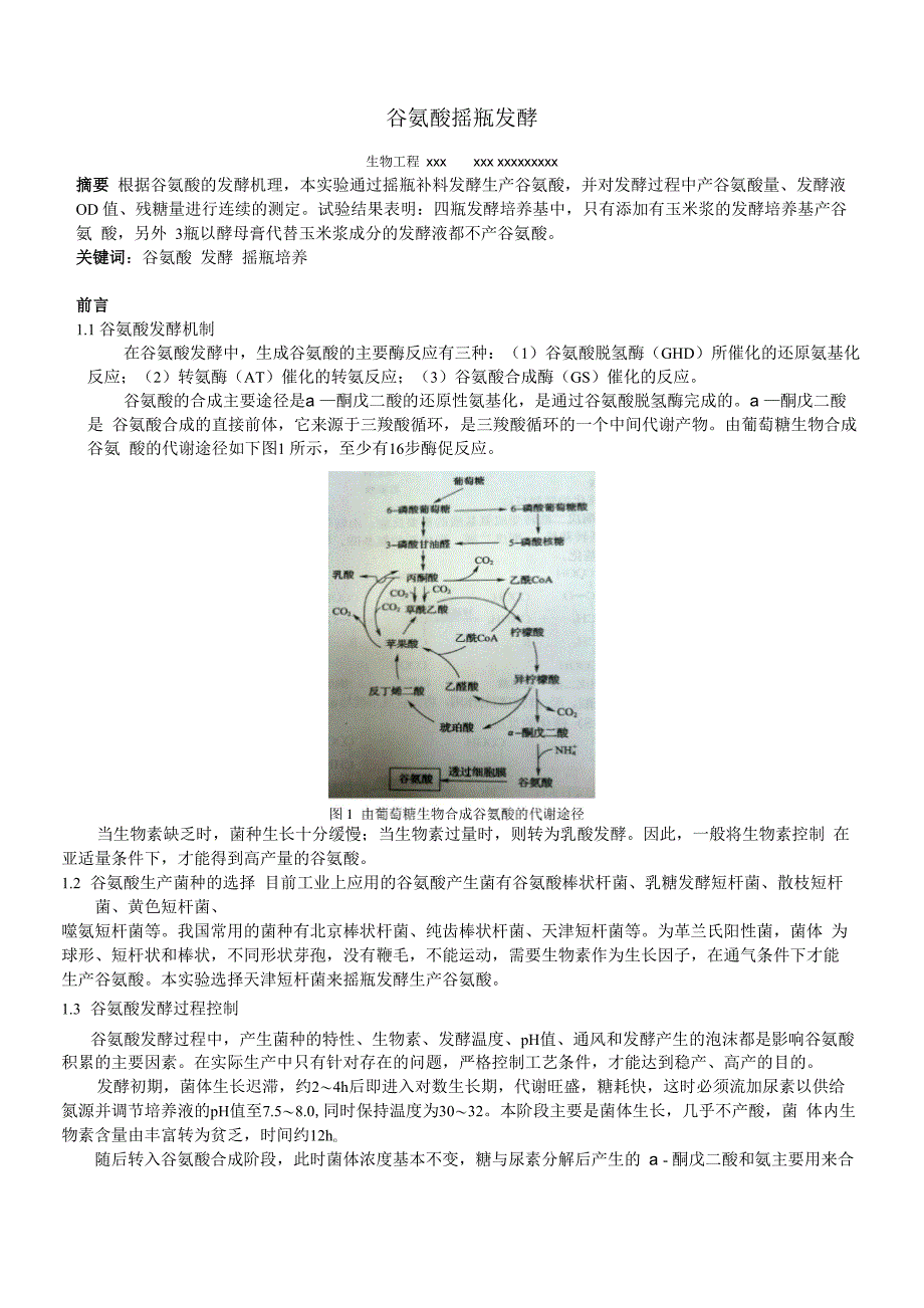 谷氨酸摇瓶发酵_第1页