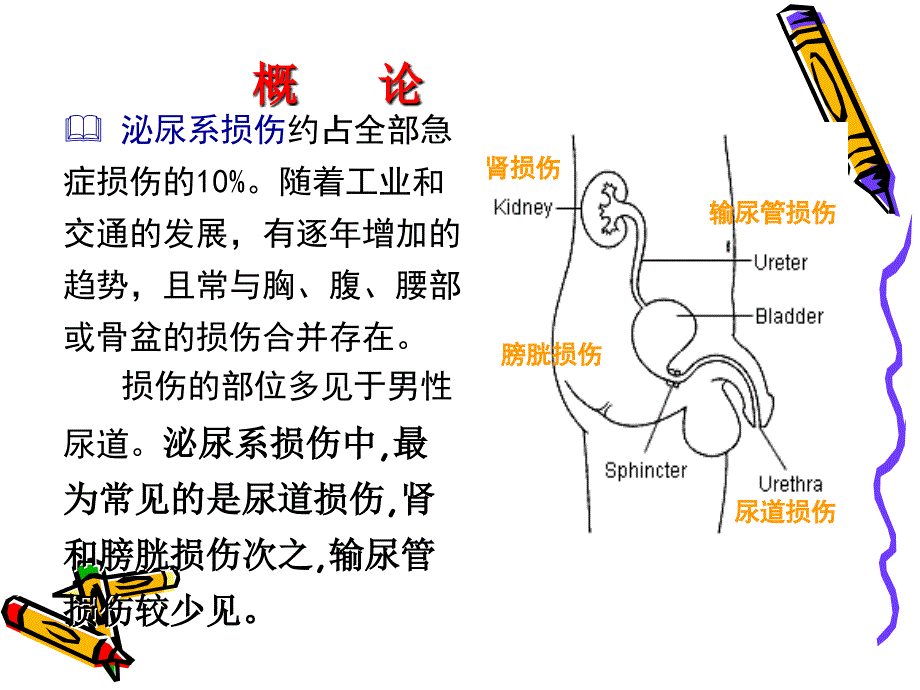 《泌尿系损伤》PPT课件_第3页