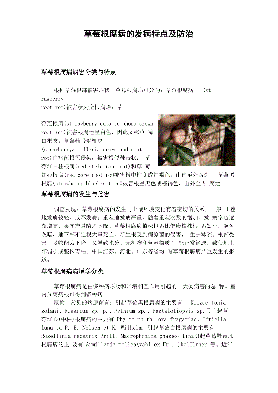 草莓根腐病的发病特点及防治_第1页