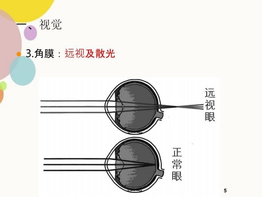 老年各糸统的老化特点_第5页