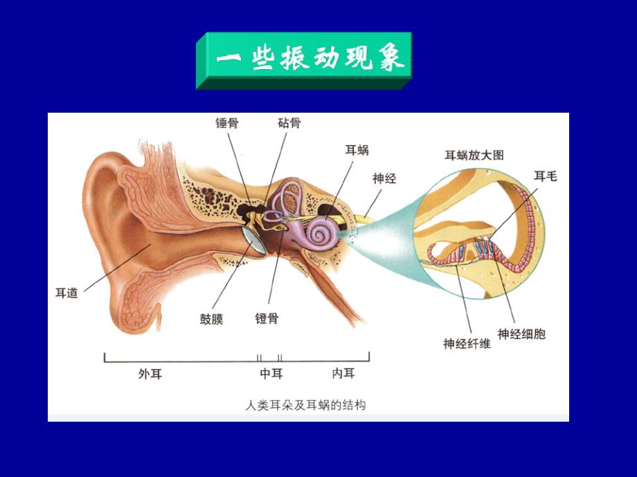 朱卫华大学物理振动_第4页