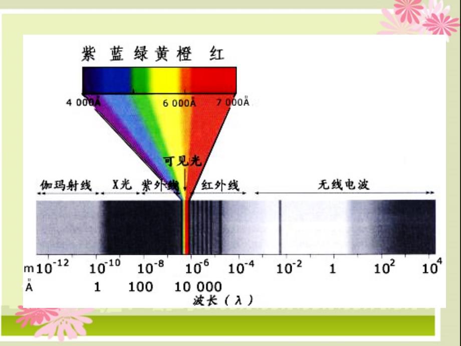 八级物理3.1光世界巡行课件沪科_第4页