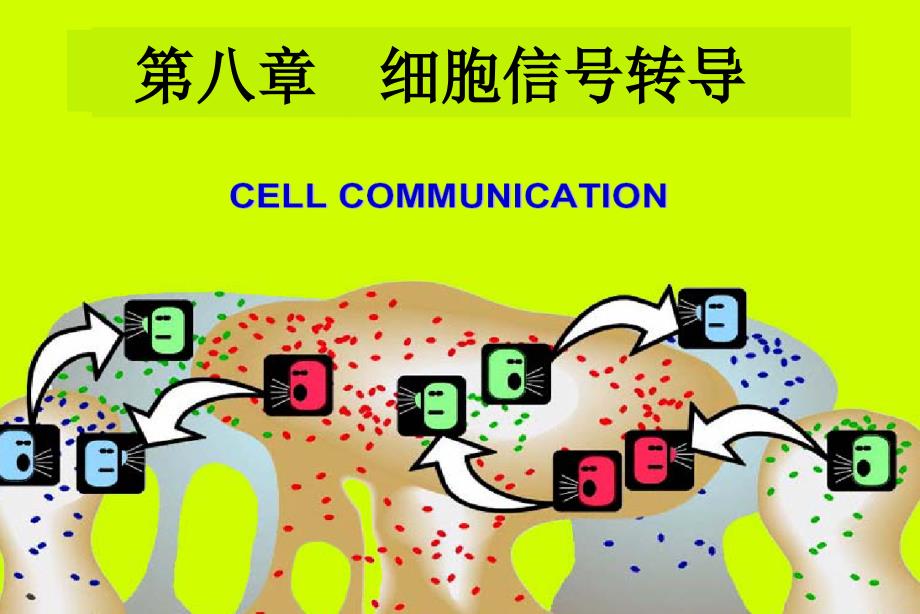 第八章细胞信号转导_第1页