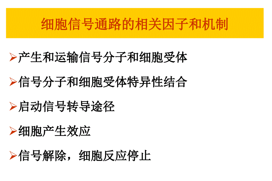 第八章细胞信号转导_第3页